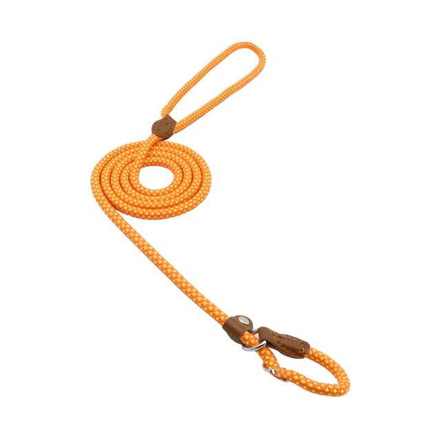 Nylon dog accessories