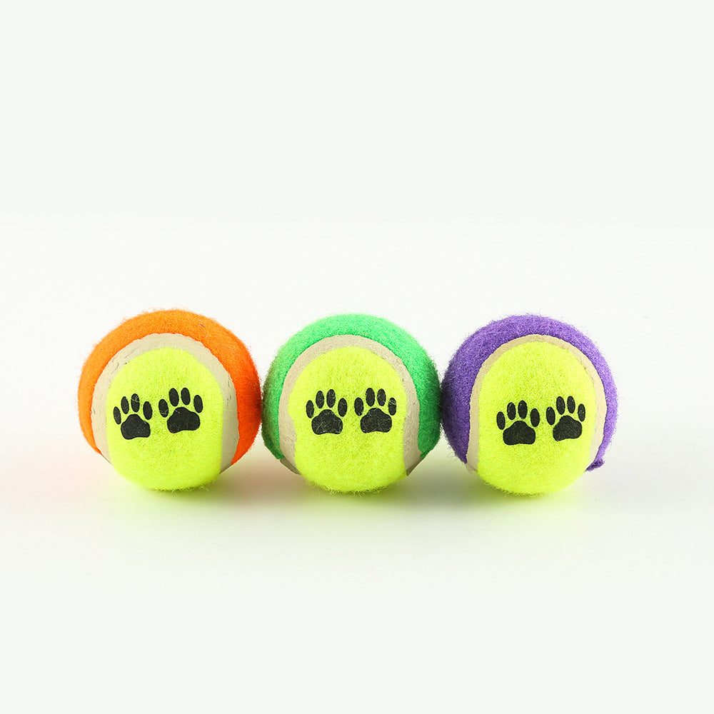 Outdoor Dog Training toy