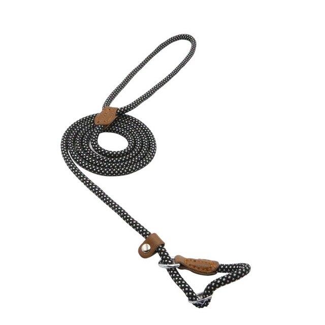 Nylon dog accessories