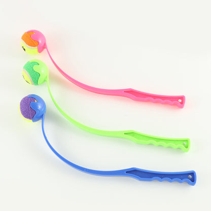 Outdoor Dog Training toy
