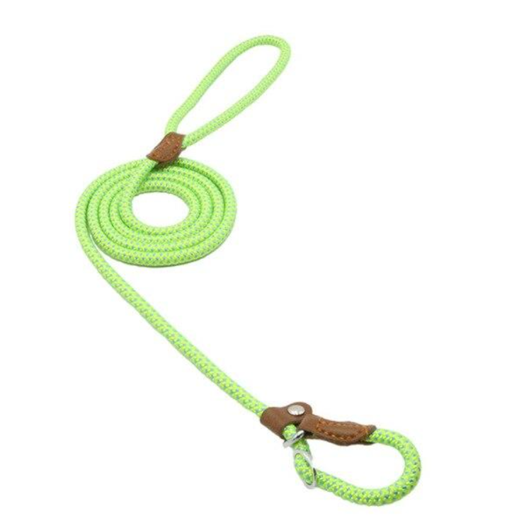 Nylon dog accessories