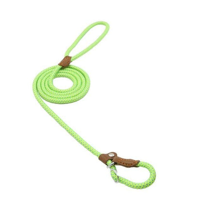 Nylon dog accessories