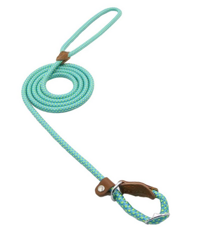 Nylon dog accessories