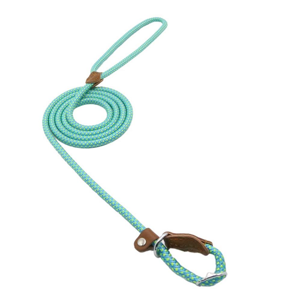 Nylon dog accessories