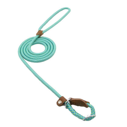 Nylon dog accessories