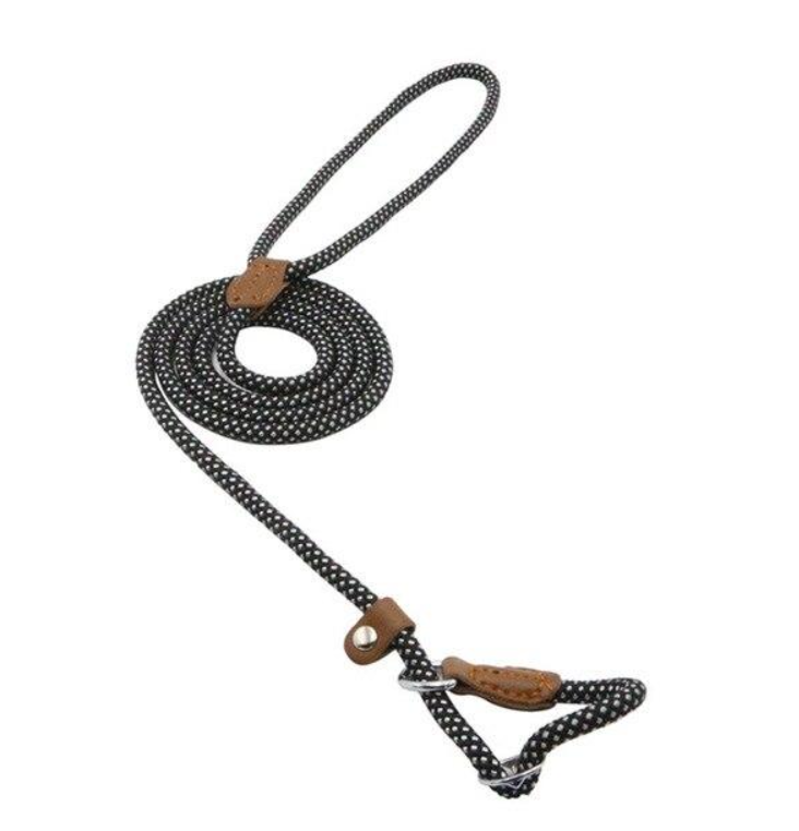 Nylon dog accessories