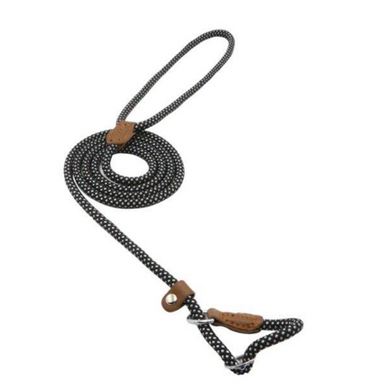 Nylon dog accessories