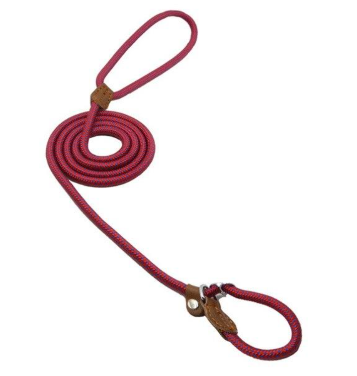 Nylon dog accessories