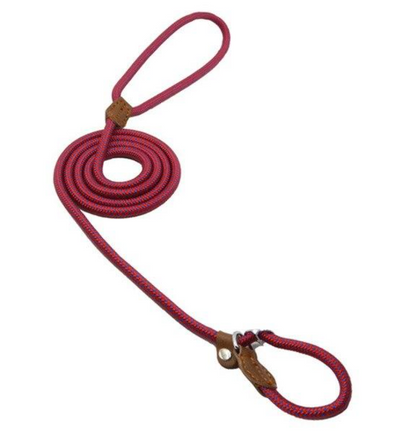Nylon dog accessories