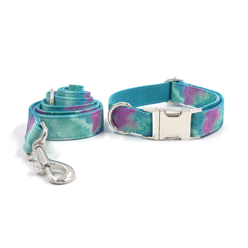 Durable Dog Collar with Traction belt