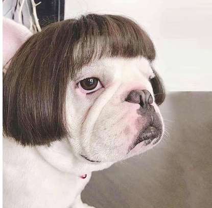 Toshomono Wig Cosplay