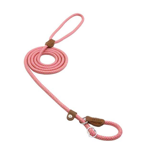 Nylon dog accessories