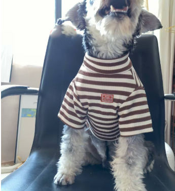 Lightweight Summer dog clothing