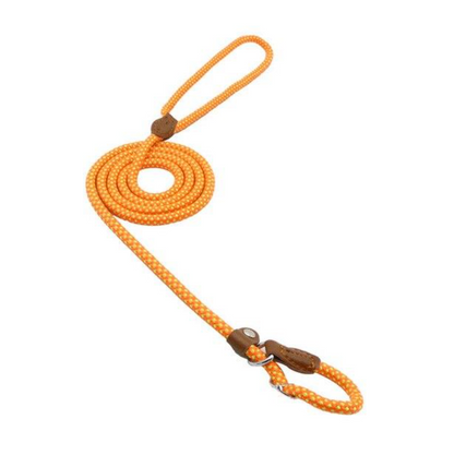 Nylon dog accessories
