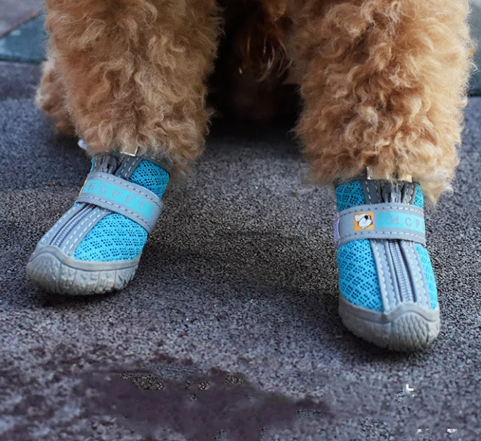 Pet Shoes for Dogs