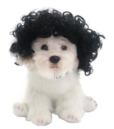 Toshomono Wig Cosplay
