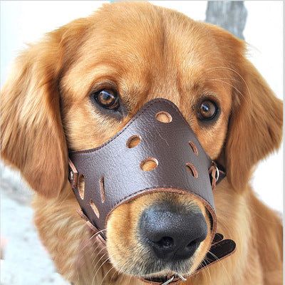 Pet Bark Control Device