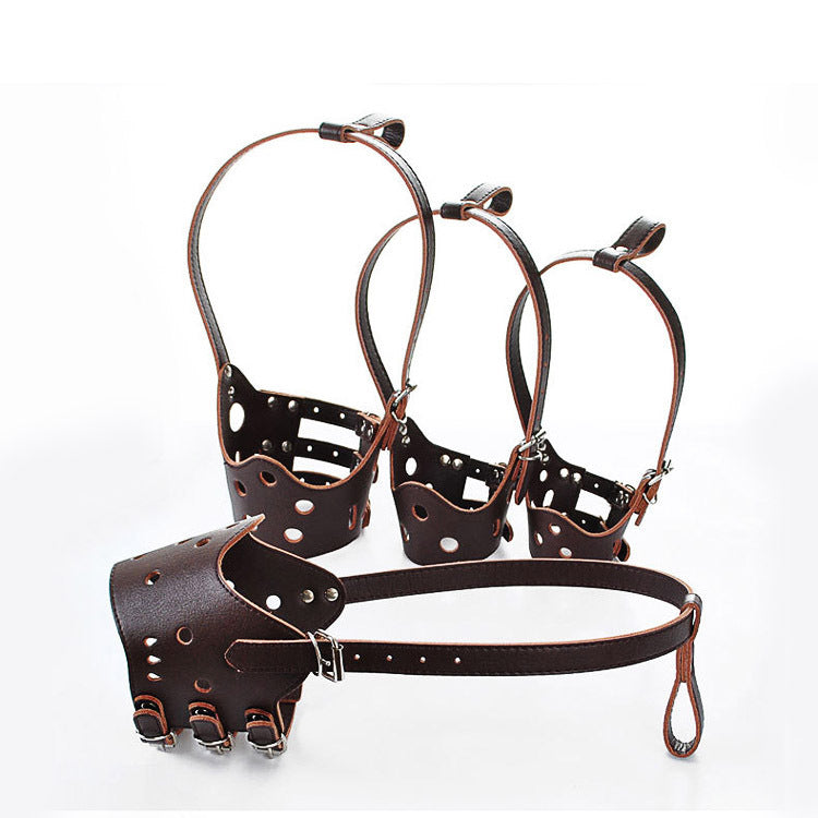 Pet Bark Control Device