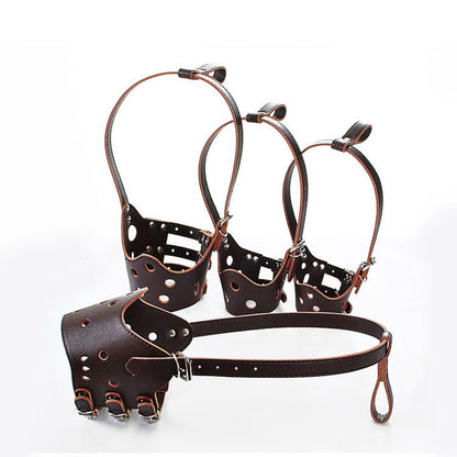Pet Bark Control Device