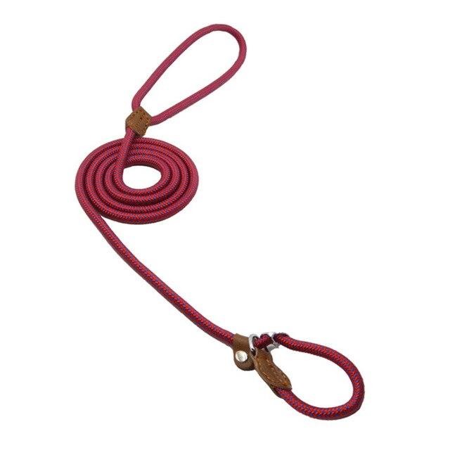 Nylon dog accessories