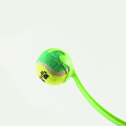 Outdoor Dog Training toy