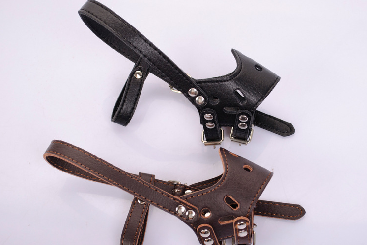 Pet Bark Control Device