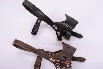 Pet Bark Control Device